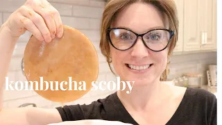 Download HOW TO MAKE A SCOBY FROM SCRATCH | how to grow a KOMBUCHA SCOBY | grow your own scoby at home MP3