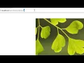WP Plugin Development Part How does shortcode - atts works