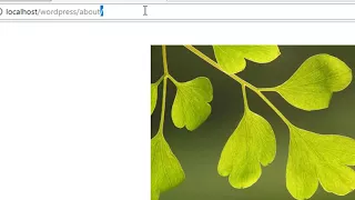 WP Plugin Development Part How does shortcode - atts works