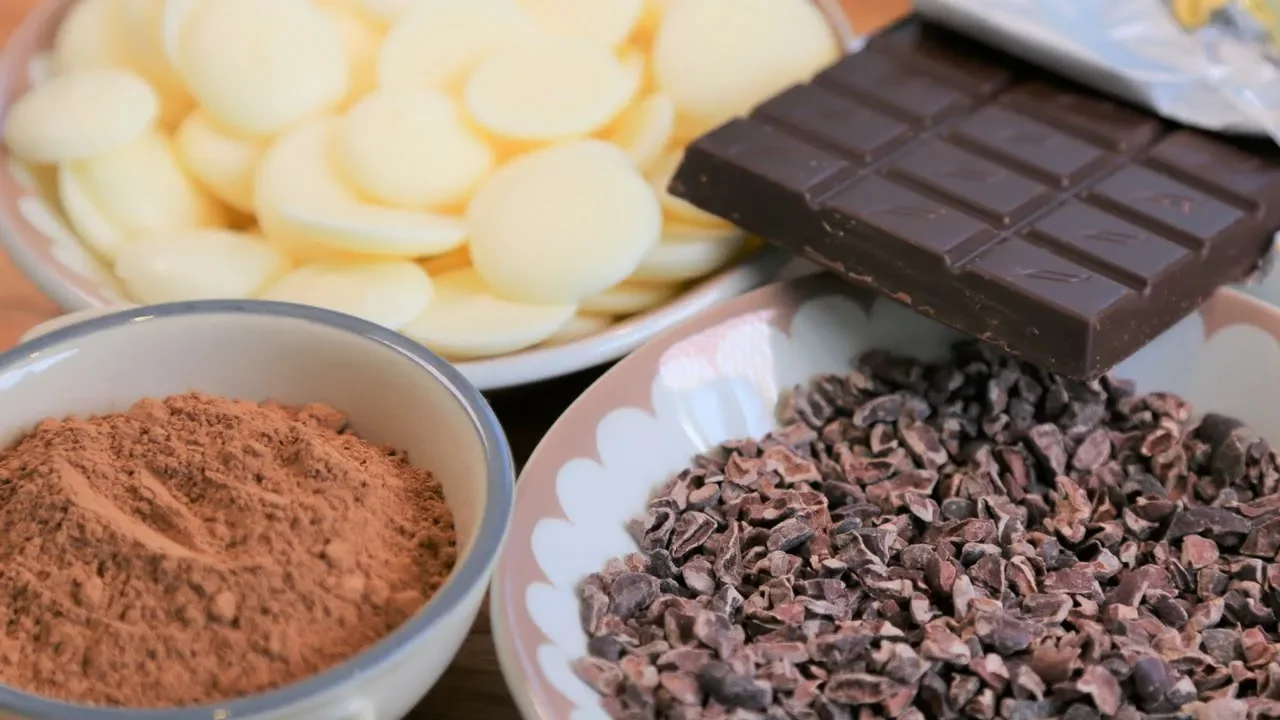 Do You Know what Chocolate Is made of?