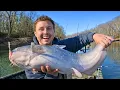 Shad Fishing Tips Blue Catfish Real World Catfishing