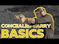 What do I conceal carry Basics of Conceal Carry