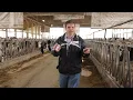 3 Tips for making Barn Curtains last Livestock Freestall Barn Ventilation curtains