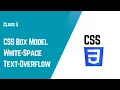 CSS Box Model Explained White-Space Text-Overflow in CSS Beginner Guide