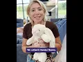 Lavender Life Company