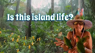 Puerto Plata, IDEAL DESTINATION or just a STOP OVER? | Sailing to the Caribbean Ep. 80