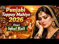 Lagu new punjabi tappay goon mahiye 2026 | singer iqbal bali goon mahiye