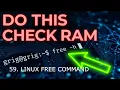 59 Linux Free command 2 Linux memory torubleshooting Linux memory usage