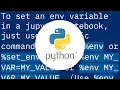 How to set env variable in Jupyter notebook