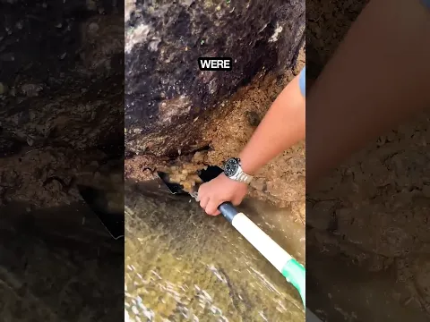 WHAT HE Dug OUT SHOCKED Him 😲