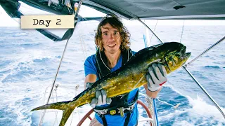 Fishing success out of Cape Verde!  // Atlantic Crossing Daily Vlog #2