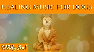 Soothing Healing Music For Dogs 528Hz To Heal Your Best Friend  Soothing Healing Music For Dogs 528Hz To Heal Your Best Friend