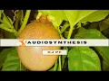 DJ PF - Audiosynthesis @ Again Vintage (DJ Set)
