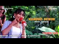 Lagu KANGGO SENOK - IRKA JESIKA - LAGU TERBARU 2025 - ANNISA NADA
