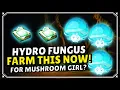 Floating Hydro Fungus Farming Route
