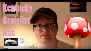 KY is DTF and not much else Surly Reads Kentucky Craigslist Ads