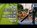Best Leaf Blowers 2026 - Top 5 Electric Leaf Blowers You Must Own