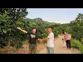 Download Lagu Dankzij Truongs hulp verbetert Yens leven geleidelijk - Zal het lot haar ertoe brengen Nghia weer te