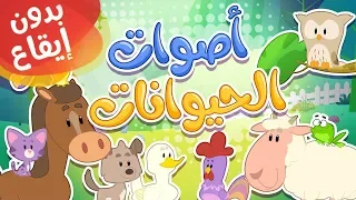 أغنية أصوات الحيوانات بدون إيقاع قناة مرح كي جي Marah KG 