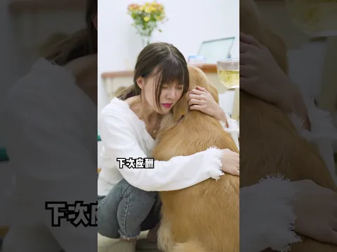 再忙再累，都有壹盞燈徹夜爲妳點亮。❤️#金毛路虎 #萌寵出道計劃