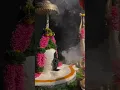 Lagu महादेव 📿🌸🔱🕉️🚩🧡#shivshortvideo #shivshambhu #mahadev #vittala #india #1million #10ksubscribers
