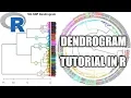 Dendrogram Phylogram Data Visualization Tutorial