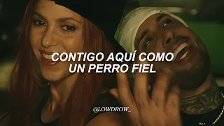 Shakira, Nicky Jam - Perro Fiel (Letra)
