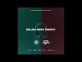 DJ Solo Star - Mellow Music Therapy: Hip Hop Edition Vol. 2 (2026)