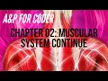 ANATOMY PHYSIOLOGY FOR CODERS - CHAPTER 02 MUSCULAR SYSTEM CONTINUE