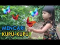 Download Lagu Mencari Kupu Kupu Cantik Lucu yg Hinggap Di Bunga Warna Warni