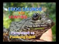 Frog Hunting | Palakang Bukid Sounds 10 minutes