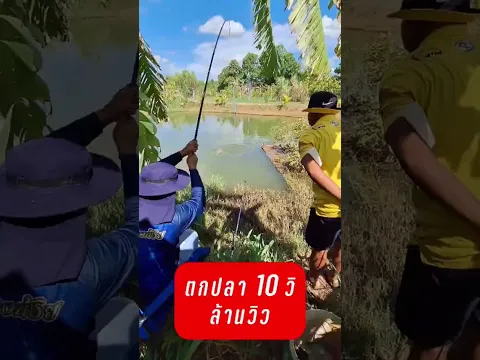 ทีมงานมือโปร ตกปลา 7 วิ #ตกปลา #fishing #angler #anglerfish #shiva #shiva channel #ศิวะศรีแก้ว