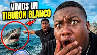 El Tiburón Blanco más grande que he visto jamás