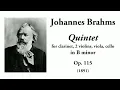 Brahms: Clarinet Quintet in B minor, Op. 115 (with Score)