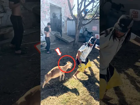 Funny moments 😂🤣