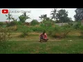 Download Lagu Vierra - RASA INI || cover. Ukulele