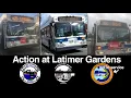 Q34 Q50-LTD and Not In Service Bus Compilation at Latimer Gardens