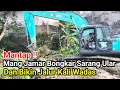 Lagu Mantap‼️Mang Jamar Bongkar Sarang Ular Dan Bikin Jalur Kali Wadas