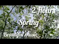 Download Lagu Chopin - Spring Waltz (Mariage d'Amour). Very beautiful music. 2 hours