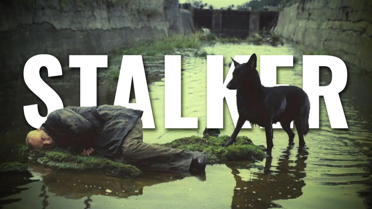 Cuando el cine se vuelve poesía | STALKER | Análisis