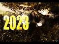 Download Lagu Best Dubstep Music Mix 2023 Bass Trap Dubstep Music Mix 2023 - Remixes Of Popular Songs 2023