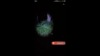 bigo live cewek berani explore rumah bekas dukun