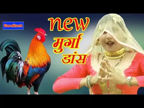 Download MP3 असमीना का न्यू मुर्गा डांस Mewati song asmina ~ Goodluck Media
