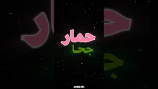 جمار جحا  قال جحا في ذات نهار    طيور الجنة  طيور الجنة بيبي  طيور بيبي  السعودية  اكسبلور دندنها