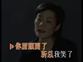王菲 - 你快樂 所以我快樂