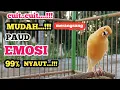Download Lagu Kenari gacor oke oke NGEROL TAJAM, TERAPI AMPUH Kenari MACET, Pancingan Kenari Paud Belajar Bunyi