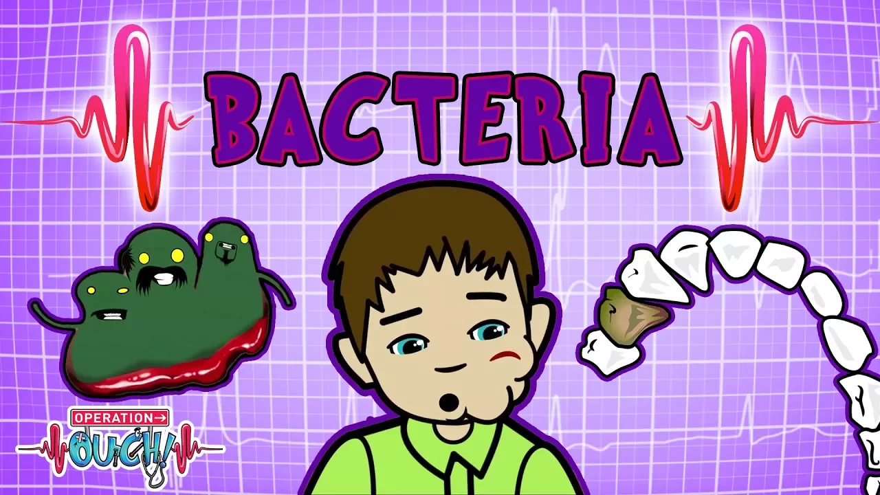 Operation Ouch - Bacteria & Infections | Immune System