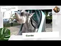 Welcome to Premier Pet Wildlife Supplies Explore Our Favorite Handpicked Products