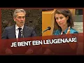 Download Lagu Schoof krijgt WOESTE Ouwehand op zijn dak! Dit is waarom....