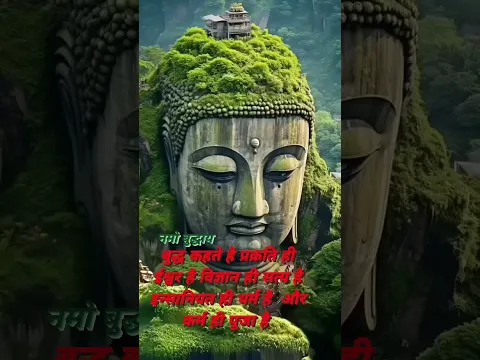 #budha teachings